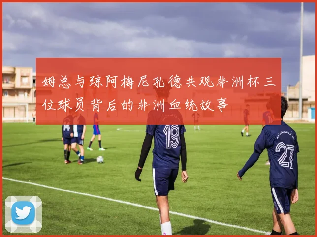 姆总与琼阿梅尼孔德共观非洲杯三位球员背后的非洲血统故事