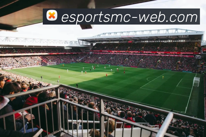 易倍体育发展历程